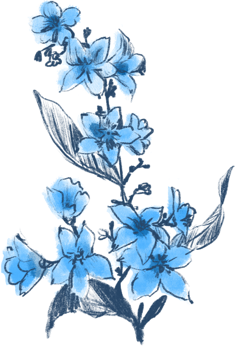 Watercolor Blue Flowers 