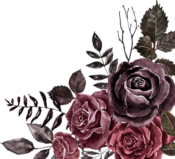 Dark roses corner border, watercolor illustration