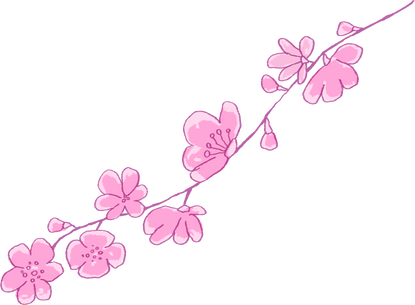 Pink Sakura Flowers