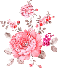 Watercolor Flowers Illustration